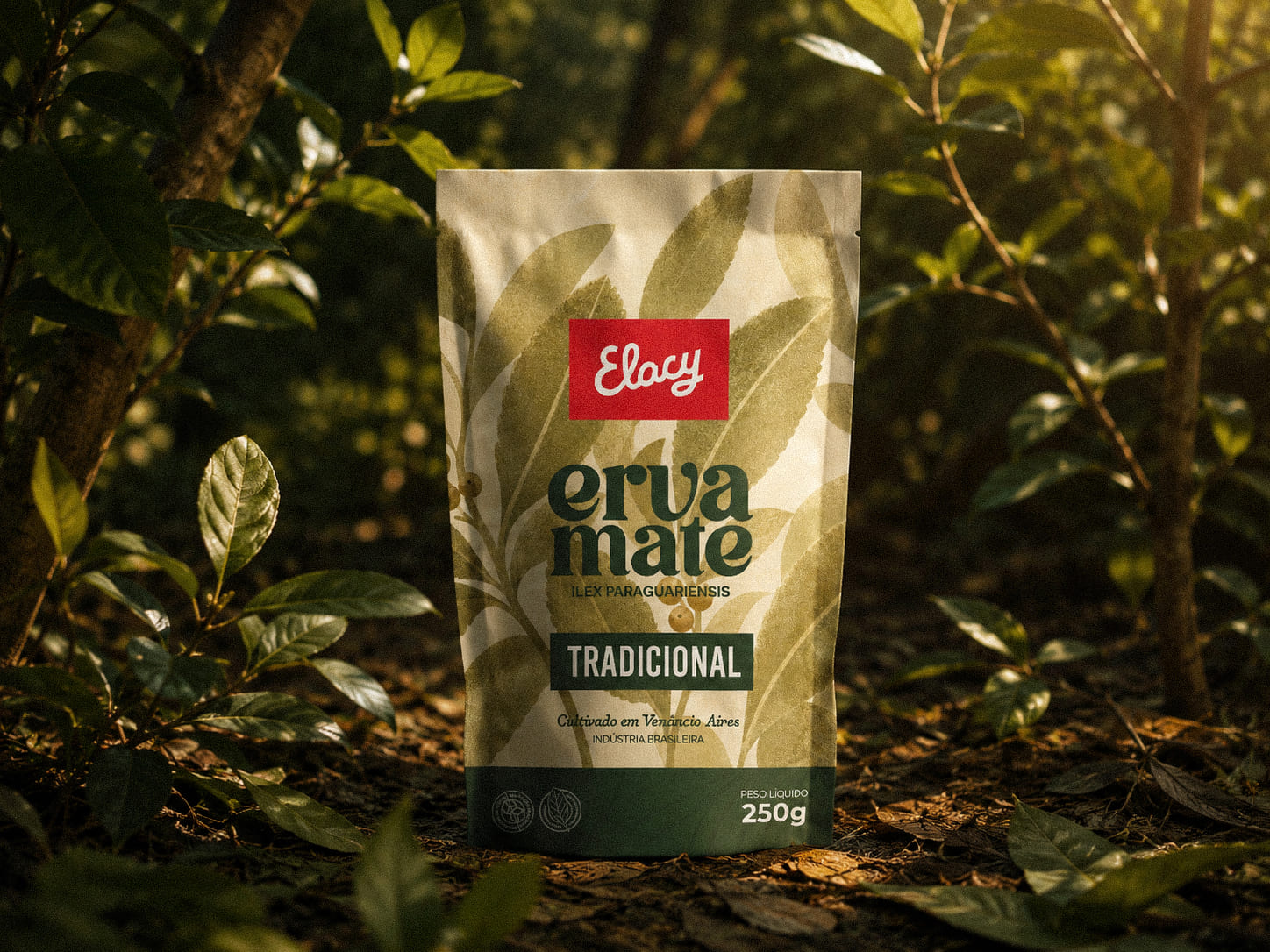 Elacy - Erva Mate